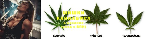 мдпв Вязники