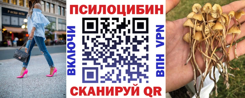 Купить где  Лесной  Галлюциногенные грибы MAGIC MUSHROOMS 
